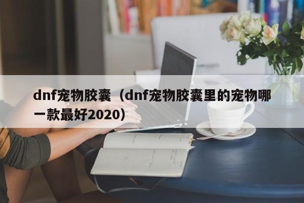 dnf宠物胶囊(dnf宠物胶囊里的宠物哪一款最好2020)