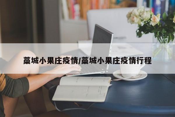 藁城小果庄疫情/藁城小果庄疫情行程